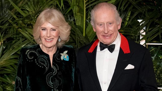 King Charles hosts celeb-packed premiere of film about his campaigning