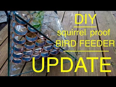 How to make a ● Squirrel Proof Bird Feeder ● U P D A T E