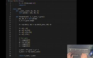 ASMR coding：python手撕LSTM