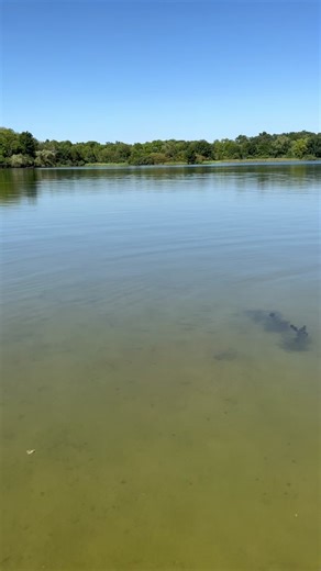 Lydia the Glimmermaid on TikTok