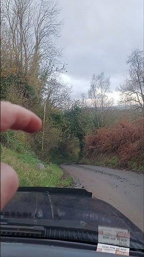 Drovers Rest - Hay on Wye - Dog Fats - #wales (link in description)