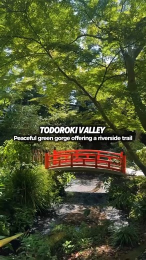 47K views · 427 reactions | ✨ Free Things to Do in Tokyo ✨ Tokyo...