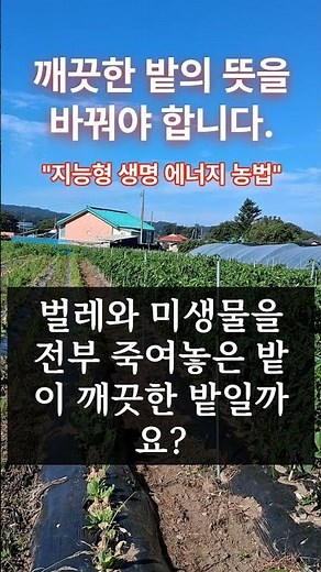 The Meaning of a Clean Field [Village Head's Energy Farming Method] #NaturalCirculationFarming