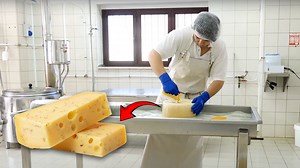 Discover the Secret Process Behind Cheese Creation