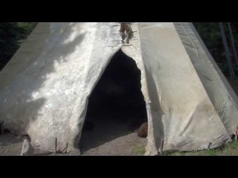Buffalo Hide Tipi