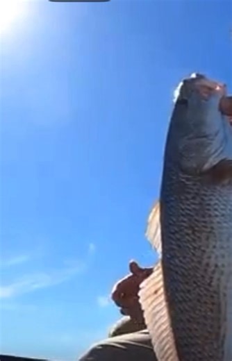 19K views · 206 reactions | Ty explains the false eye on a redfish tail.. booking - tyonthefly.com | 30milesOUT fish'n TV | Facebook