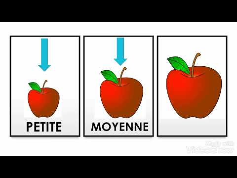 pré-mathématiques: notions petit /moyen / grand