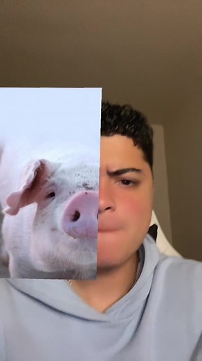 #pegar un video de @Sorin Schiller estos filtros de ahora #fyp #parati #humor