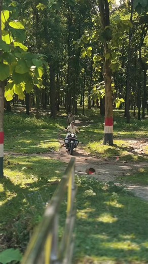 Royal Enfield Bullet Fev Bike review: Bullet lovers guide