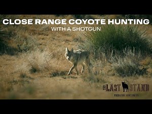 Close Range Coyote Hunting with a Shotgun - The Last Stand S8:E8
