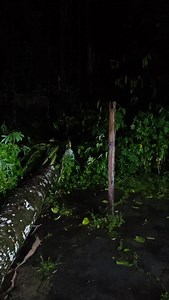 41K views · 1.6K reactions | 25 August 2025, biar aku ceritakan agar...