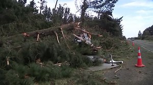 Wild New Zealand storm disrupts transport, leaves thousands without power