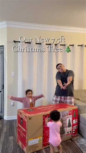 1.2K views · 31 reactions | The tree is up… but the magic happens in Part 2 ✨ #FamilyChristmas #holidays #membersmark #christmastree #fyp | Bryan Duran | Facebook