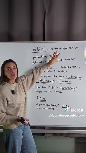 Understanding Kidneys and ADH in GCSE Biology