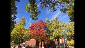 9 awesome walks to see fall colors in and around Denver