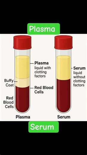 plasma vs serum #plasma #serum #blood #medicallectures #medicalvideos #medicalstudent #medicalschool