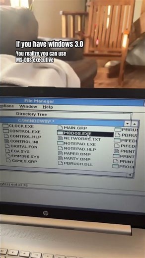 Windows 3.0 has MS-DOS executive