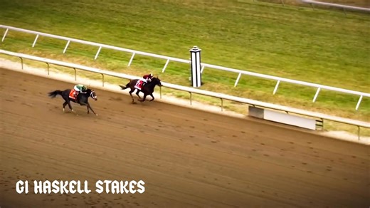 ✨ Classic winner DORNOCH, standing at Spendthrift Farm. "A world-class athlete made for the fight, that's Dornoch." - Jayson Werth | Thoroughbred Daily News