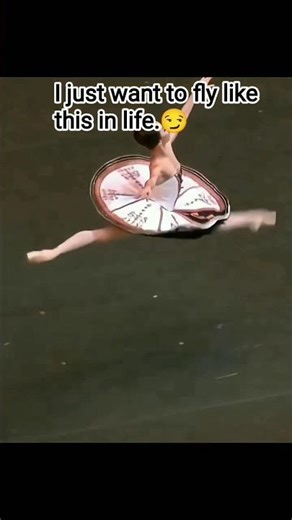 I wish I could fly like this too,flying memes,my dream uncompleted