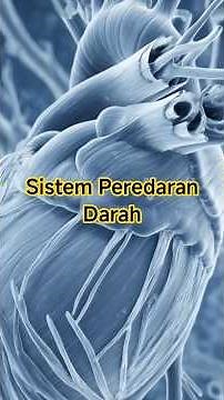 Sistem Peredaran Darah Manusia | Anatomi Dasar #anatomi #beritaterkini #kesahatan #edukasikesehatan