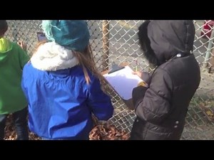 Conducting a Field Study-Collecting Data Outside - Part 3