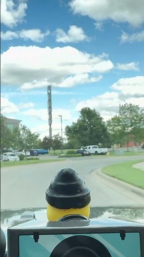 Donnie the duck leaving Walmart after buying some groceries