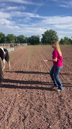 8.8M views · 42K reactions | Coolest coaches ever! #reels #GMS #goldmedalsquired #countrygirl #horses | The Farm on Route 66 | Facebook