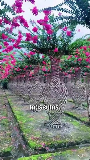 Living Tree Sculptures: Art That Grows