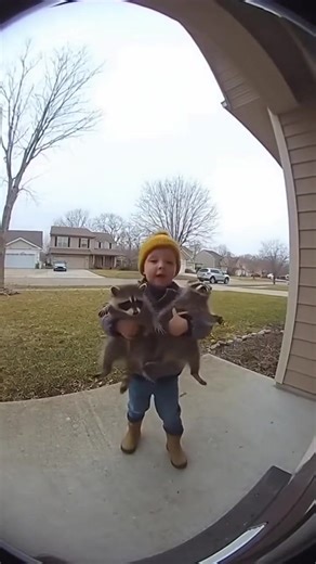 120K views · 2.1K reactions | so random | Stephani H | Facebook