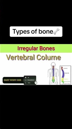 #channel #function #subscribe #english #learnenglish #anatomy #biology #doctor #types of bone