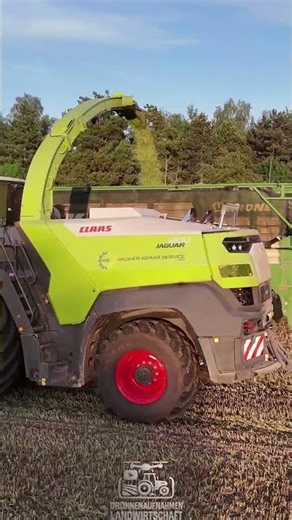 Claas Jaguar 1200 schwer am häckseln