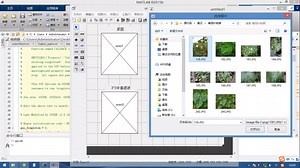基于Matlab植物虫害检测(GUI，注释svm算法)