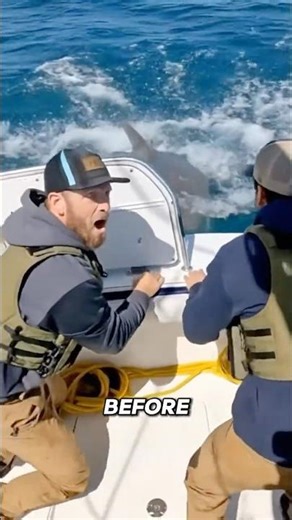 Fishermen Shocked as Sea Turtle Tries to Escape a Giant Shark