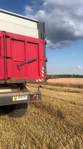 Moisson de blé avec New Holland en plein champ agricole