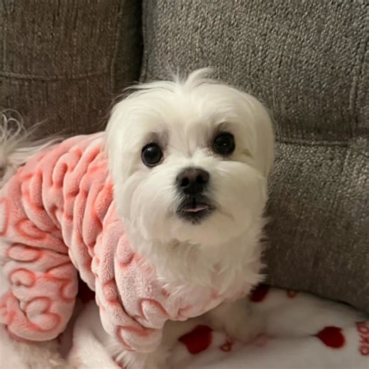 🐾✨ SUNDAY, JANUARY 18th, 2026 — DAY EIGHTEEN OF THE NEW YEAR ✨🐾 🌈🐾 Reflection • Gratitude • Gentle Renewal 🐾🌈 Hey sweet frens… 🤍 It’s Sunday — a day for softness, reflection, and letting our hearts catch up with the week ✨ Sunday isn’t about rushing or fixing everything. It’s about pausing long enough to notice how far you’ve come — even if the steps were small 🤍 Today invites us to reset gently. To carry gratitude for what was, grace for what is, and hope for what’s still unfolding 🌈 M