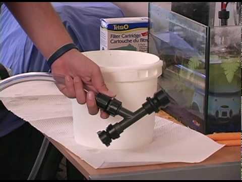 How To Clean Your Fish Tank