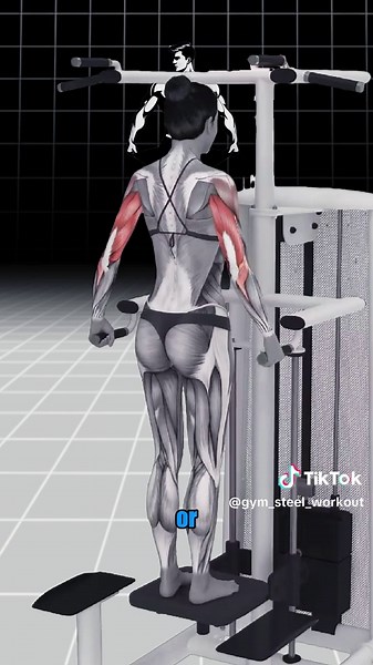 This Is Your Triceps. Three heads — each with its own job. Leave one out, and your arms will never look complete. So stop wasting time and do this. These are the only three triceps movements you need if you’re serious about growth. #TricepsWorkout #ArmTraining #TricepsGainz #BiggerArms #TricepsIsolation