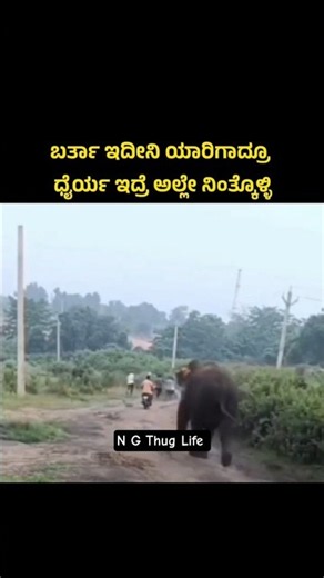 Kannada troll video || N G Thug Life || #funny #kingtroll #love #funny #kingtroll #trolllife #prank