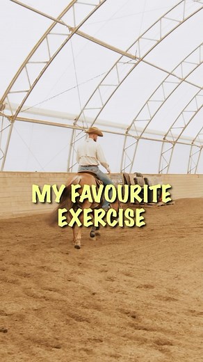 SINGLE CONE EXERCISE - My personal favourite for beginners and pros alike. . We have 7 new episodes coming to the masterclass focused on problem solving for this simple but difficult exercise. Drone shots and the whole works. . Media @stilesproductions . #reining #horses #nrha #horseriding | Jim Greendyk Performance Horses