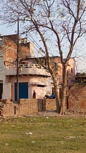 Advanced Aerial Ornithopter