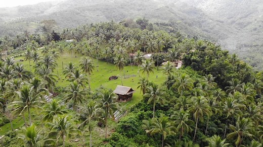 12K views · 32 reactions | Living life simply on a small goat farm off the grid. | Highland Goat Farm | Facebook