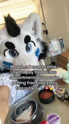 BEST thing about LIVING in CANADA #furry #canada #chronicillness #crohnsdisease