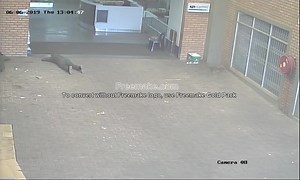 1.4M views · 1.7K shares | Factor Shop Musina Messina South Africa In LIMPOPO Date 06/06/2019 Thursday 13:04:25 Daylight Robbery | Musina Express Update News | Facebook