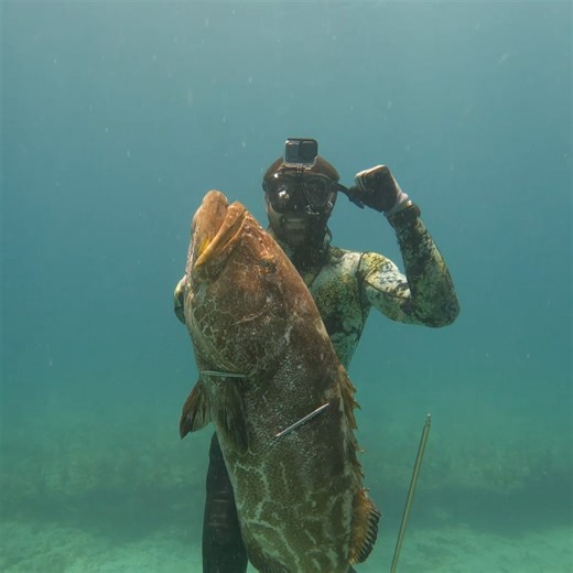 How We Spearfish Big Black Grouper! | Ryan Myers Spearfishing
