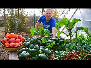 The FINAL Garden Tour and Harvest 🎬