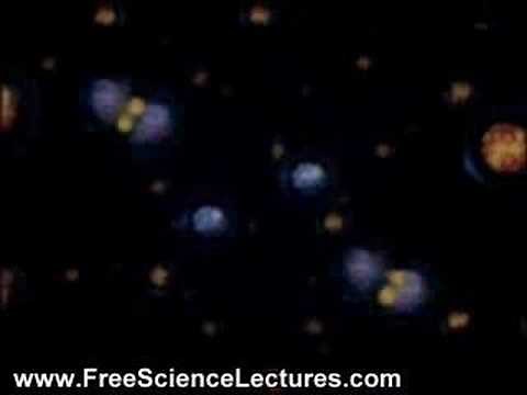 Nuclear Fission Animated