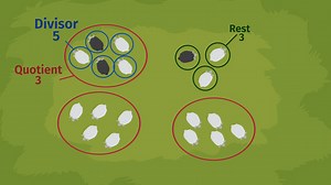 Division – Überblick und Anwendung | sofatutor.com