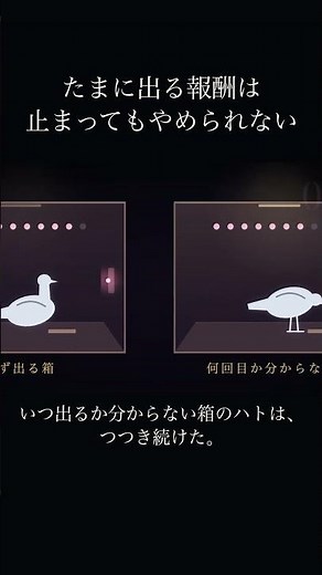 たまに出る報酬は止まってもやめられない｜スキナーの実験 #思考の解剖室