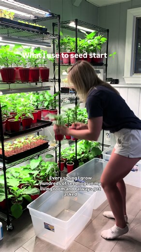 Seed starting soil, worm castings, outlet timers, and shelves w/ grow lights are linked in my Amazon storefront in my bio! 6 cell seed trays & 1020 bottom trays are epic gardening. Code MTG5 will save you $$ !! Also linked in my bio :) #seedstarting #growlights #howtostartseeds #michigangarden #zone6a