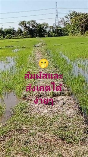 #Hmm, yes, that's right. We can use our intuition.